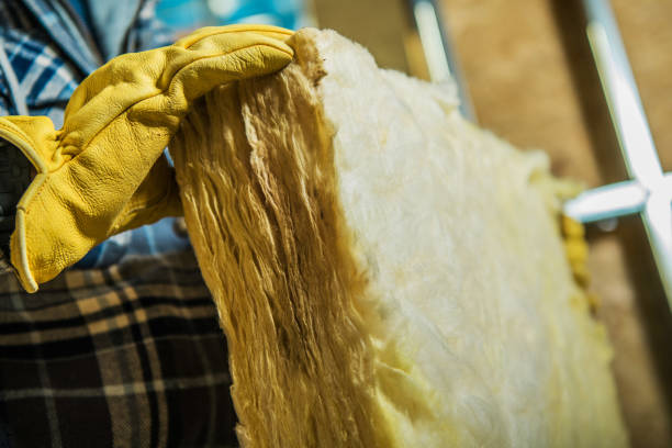 Best Spray Foam Insulation  in Lamesa, TX