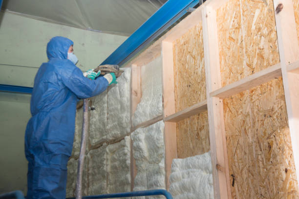 Best Wall Insulation Contractor  in Lamesa, TX